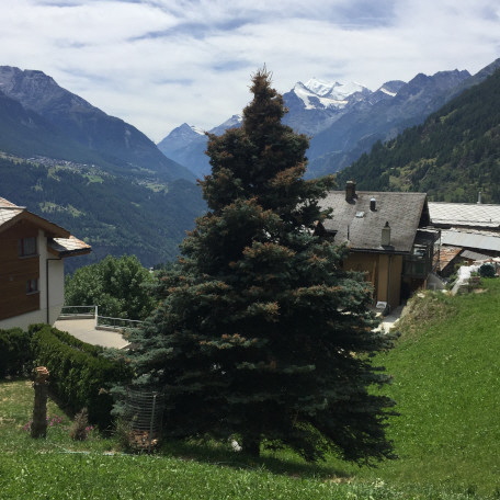 Bild 09.07.2022 Bild 09.07.2022